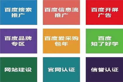 谷歌SEM与移动端优化：某APP的推广策略及效果