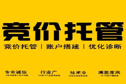 竞价SEM托管案例：实现营销效果最大化